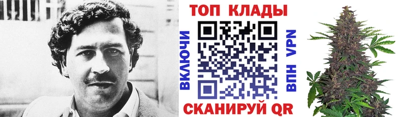 Альфа ПВП Коломна