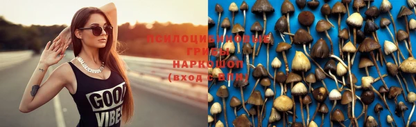 PSILOCYBIN Навашино