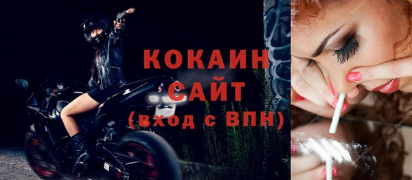 PSILOCYBIN Навашино